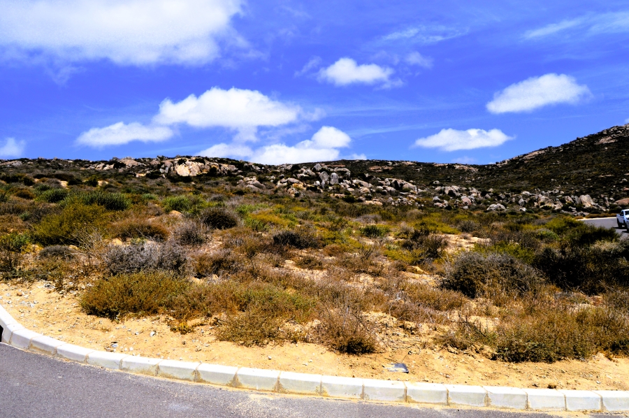 0 Bedroom Property for Sale in Steenbergs Cove Western Cape